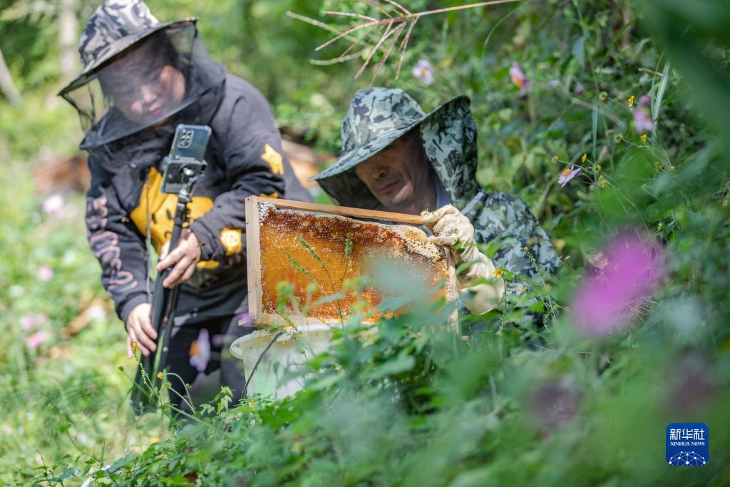 百富论坛白菜彩金